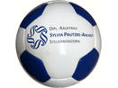 Pallone da calcio disegno a 26 PENTA-pannelli SYLVIA