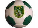 Pallone da calcio disegno a 26 PENTA-pannelli SPVGG