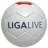 Pallone da calcio a 28 pannelli classici
