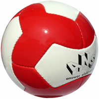 Pallone da calcio a 14 pannelli