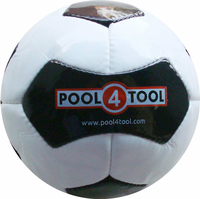 Pallone da calcio a 14 pannelli