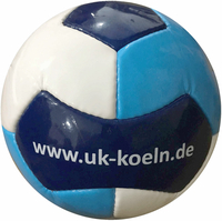 Pallone da calcio a 14 pannelli