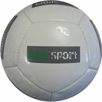 Pallone promozionale a 12 pannelli