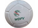 Mini Palla - Disegno a 12 pannelli WDFV