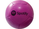 Mini Palla - Disegno a 12 pannelli Spotify