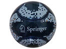 mini pallone da calcio a 6 pannelli Springer