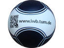 mini pallone da calcio a 6 pannelli IWB