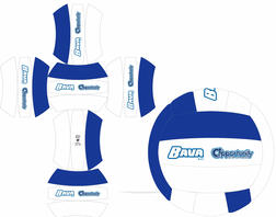lay-out palla da pallavolo