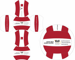 lay-out palla da pallavolo