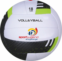 Palle da pallavolo personalizzate Sportjugend
