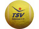 Palla da tennis TSV