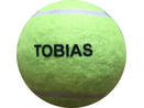 Palla da tennis TOBIAS