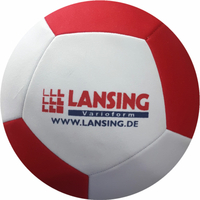 Pallone 12 pannelli
misura 5, 4 & mini