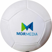 Pallone 12 pannelli
misura 5, 4 & mini