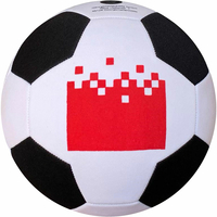 Pallone da calcio 26 pannelli
misura 5 & mini