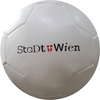 Pallone squeeze 26panelli Penta  misura 5