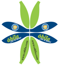 sketch pallone da basket personalizzate