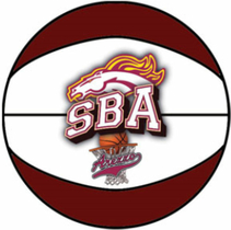 sketch pallone da basket SBA