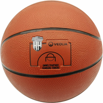 Pallone da basket VEOLIA