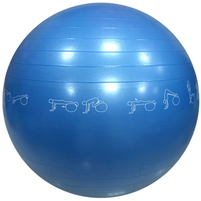 Palla da ginnastica, blu