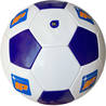 Pallone da calico promozionale in PVC