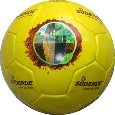 pallone da calcio a 26 PENTA-pannelli