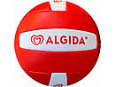 Palla da pallavolo ALGIDA