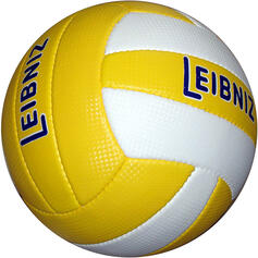 Palla da pallavolo per tempo libero o allenamento