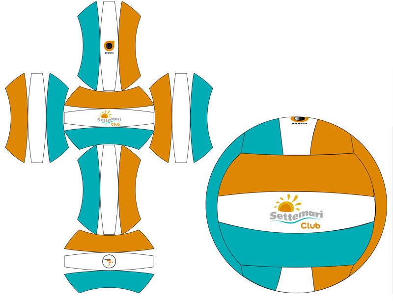 lay-out palla da pallavolo