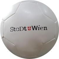 Pallone squeeze 26panelli Penta misura 5
